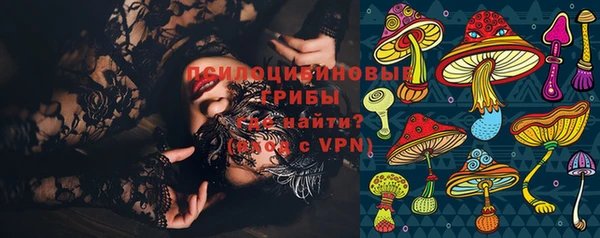 ПСИЛОЦИБИНОВЫЕ ГРИБЫ Краснослободск