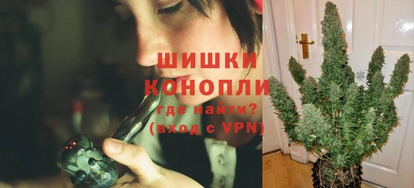 ПСИЛОЦИБИНОВЫЕ ГРИБЫ Краснослободск