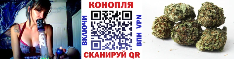 Купить  Белая Холуница  Бошки Шишки VHQ 